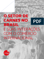 03_Setor_Carnes_Brasil_PT