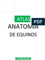 ATLAS DE ANATOMIA DO CAVALO