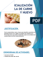 Comercialización Avícola de Carne y Huevo - 2