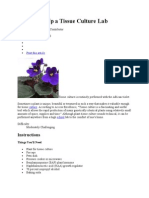 How To Set Up A Tissue Culture Lab