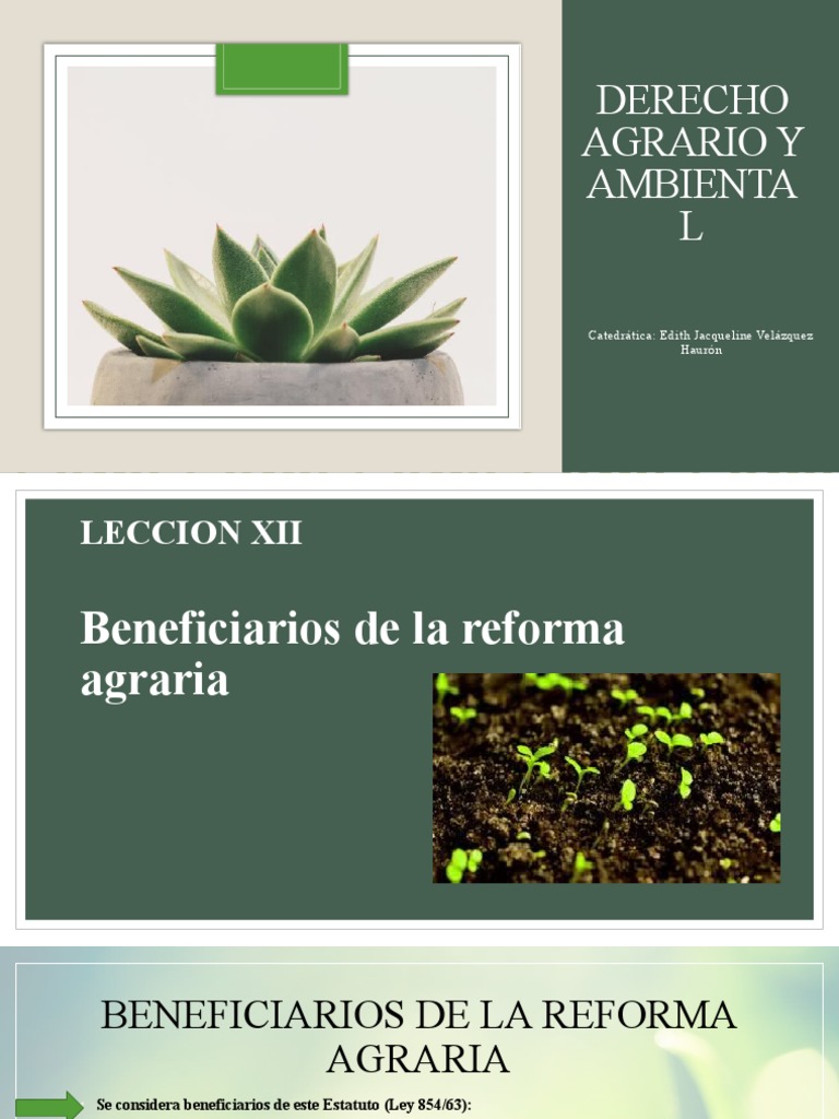 Beneficiarios de la reforma agraria y desarrollo rural en Paraguay ...