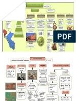 Mapas Conceptuales