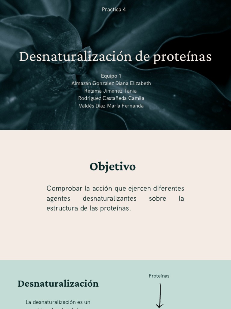 Desnaturalización de Proteinas PDF Desnaturalización (bioquímica