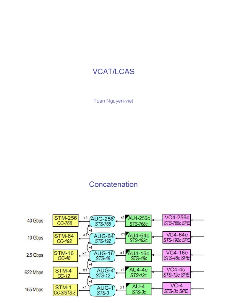 VCAT and LCAS: Bandwidth Management Techniques | PDF | Computer Network ...