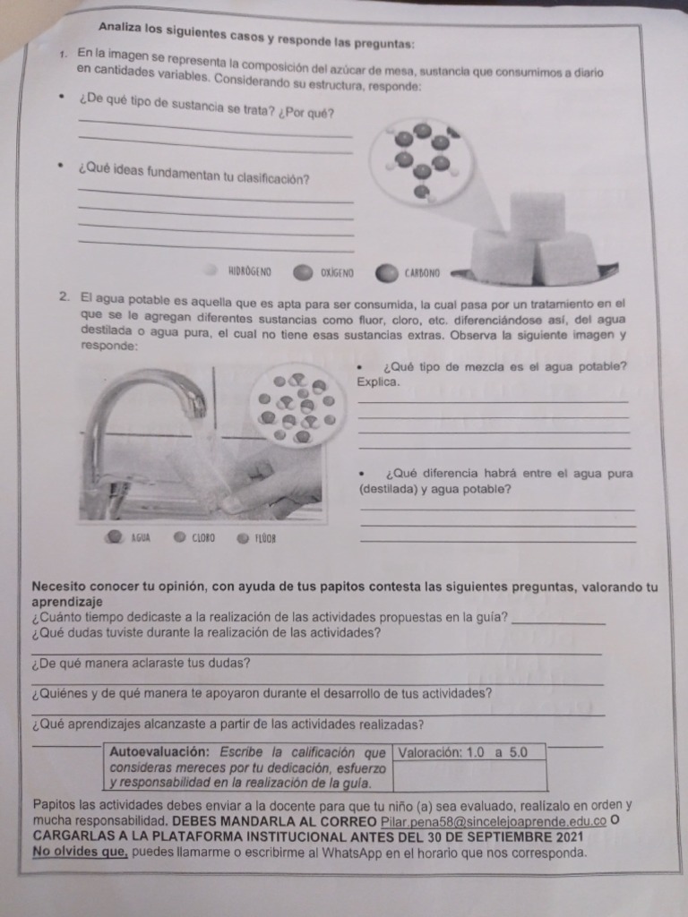 Actividad | PDF | Agua | Agua potable