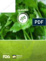 Cilantro PDF
