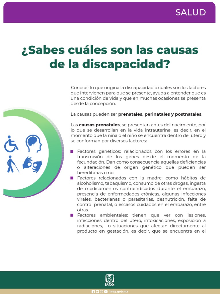 Causas de la Discapacidad: Prenatales y Más | PDF | El embarazo | Parto