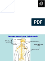 Anatomi Fisiologi Sistem Saraf