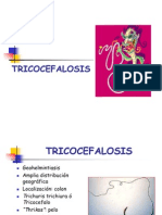 TRICOCEFALOSIS