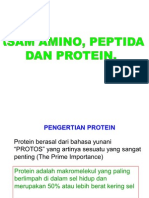 SUBEKI-Asam Amino, Peptida, Protein