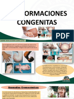 Malformaciones Congenitas - Maria Alejandra Gabriel Quispe