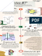 Aceves Infografía G1302