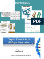 3 Acidos Nucleicos _2022