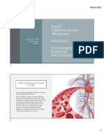 Module I - Lesson 1 - Cardiovascular System - Notes