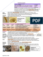 3 Parcial Parasitos de Suinos