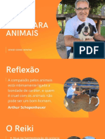 Reiki para Animais