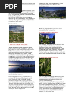 Download Landscape Photography Tips by Yulitoha Hottea SN58866983 doc pdf