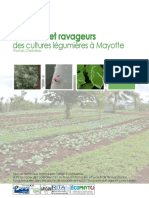 Maladies Et Ravageurs Des Cultures lÃ©gumiÃ Res Ã Mayotte V3.compressed