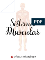 eBook Sistema Muscular