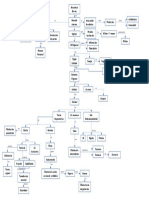 Mapa Conceptual B. Abortus