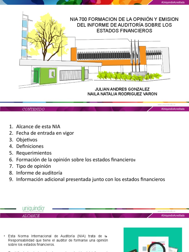 NIA 700: Opinión y Informe de Auditoría | PDF | Auditoría | Contralor