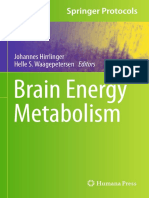 Brain Energy Metabolism 2014