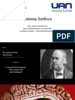 Sistema Limbico