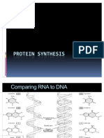 Protein Synthesis Presentation