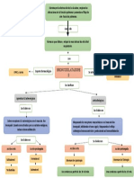 Mapa Conceptual - Broncodilatadores PDF