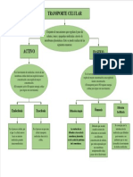 Mapa Conceptual de Transporte de Moléculas