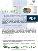 Acciones Que Permitan Reducir La Huella de Carbono en Mi Comunidad