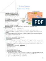 RESUMEN 3er Parcial Bioquimica