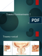 Trauma Genitourinario 2