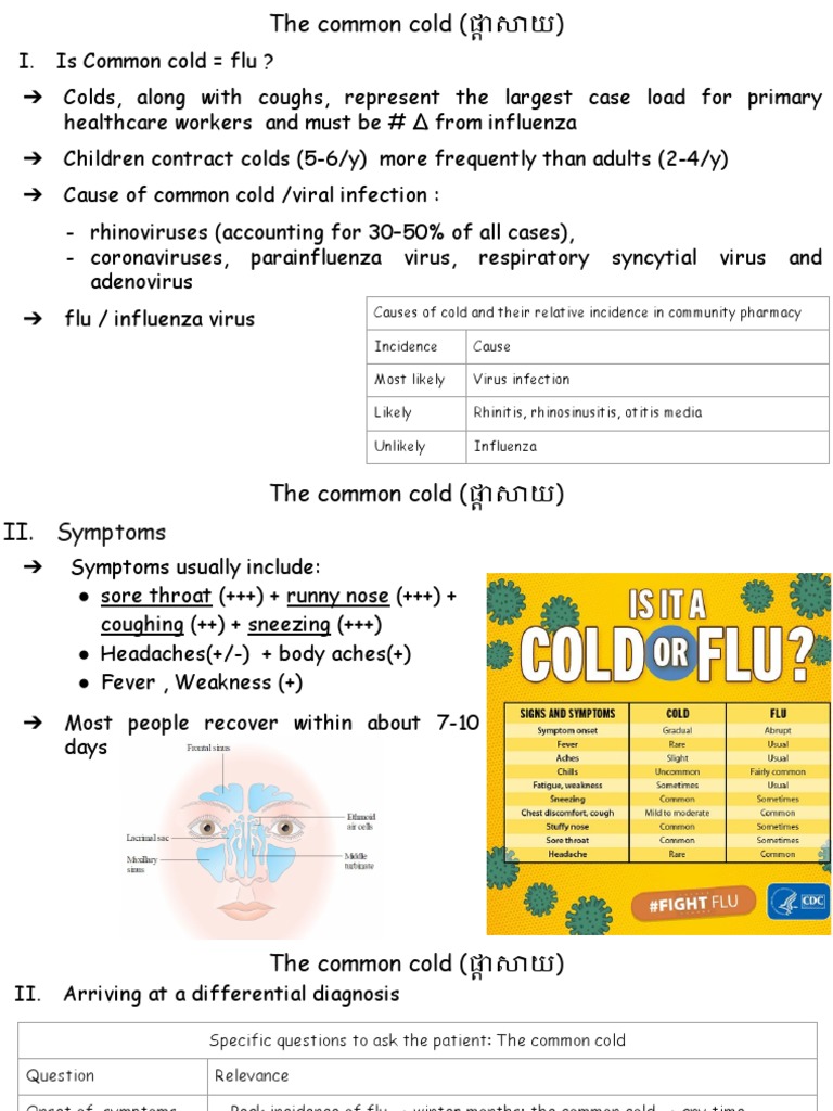Lesson 3 The Common Cold PDF Common Cold Influenza