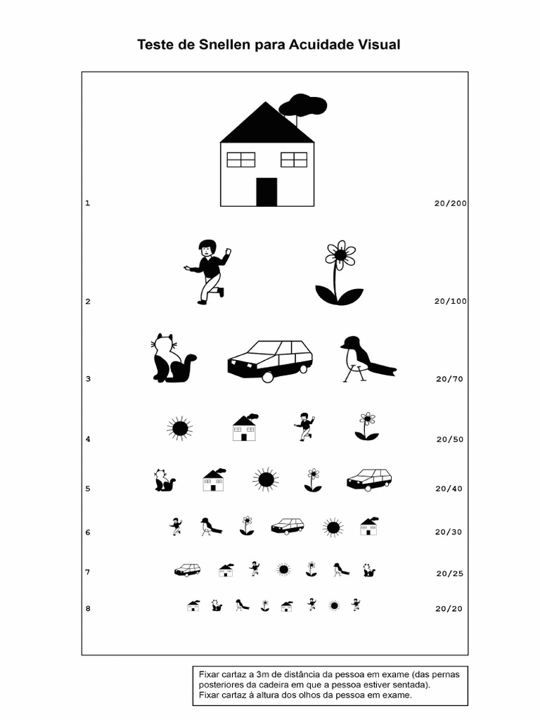Teste snellen 1 pdf
