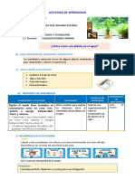 D4 A1SESION ¿Cómo Crece Una Planta en El Agua