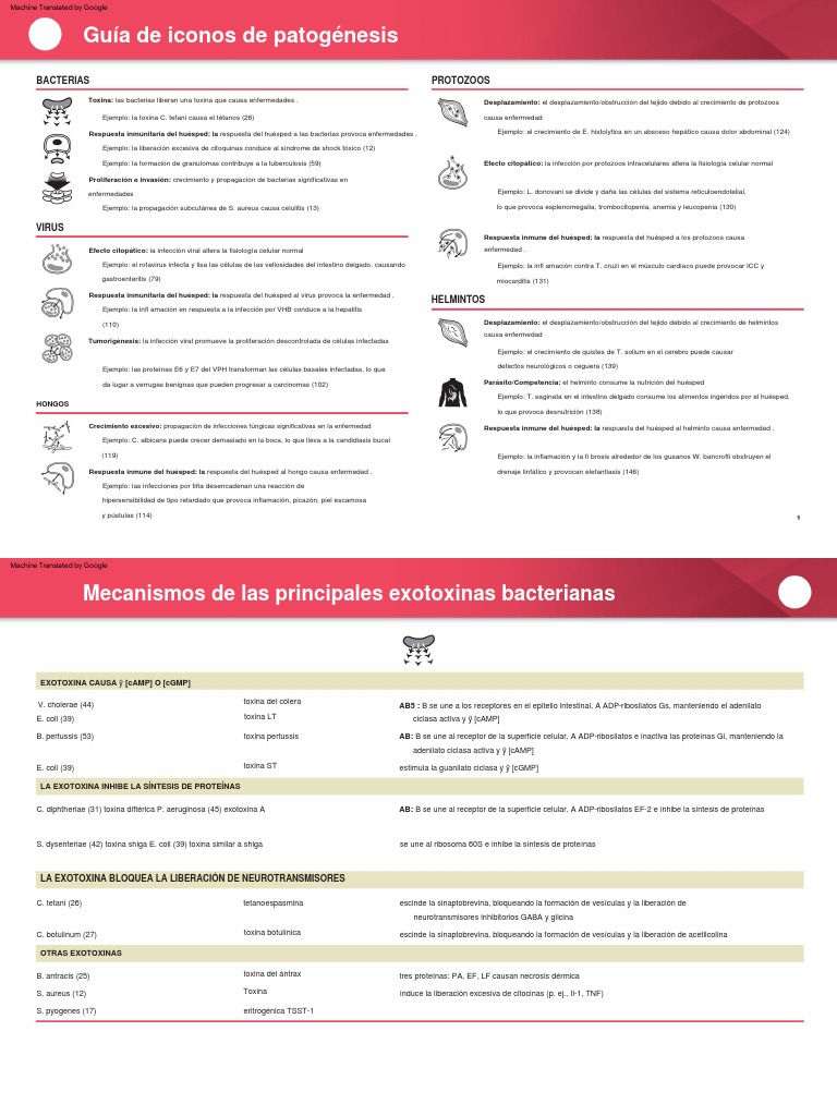 MEDICAL MICROBIOLOGY AND IMMUNOLOGY FLASHCARDS ROSENTHAL PDF visual data 8