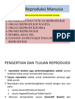 Sistem Reproduksi Manusia