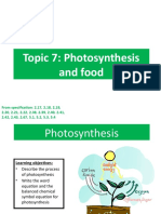 Topic 7: Photosynthesis and Food