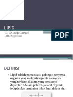 Lipid dan Minyak