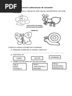 Adivinanzas para Primer Grado | PDF