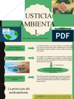 Justicia Ambiental - 4ta Unidad