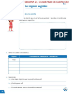 Guía N° 24 Ciencia CE