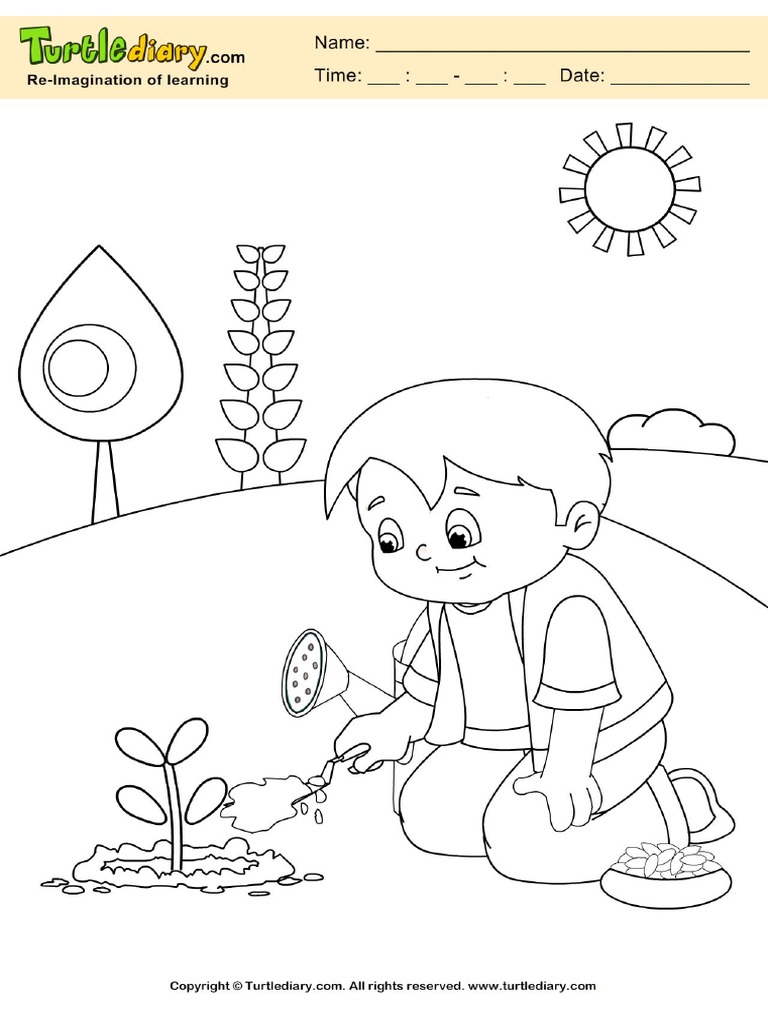Grow Plant Coloring Page | PDF