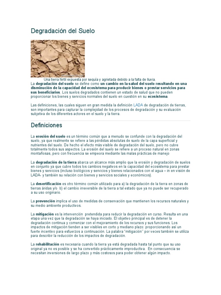 Causas y Consecuencias de la Degradación del Suelo | PDF | Suelo ...