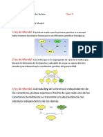 8 Clase de Biologia Genetica 3 Ley de Mendel