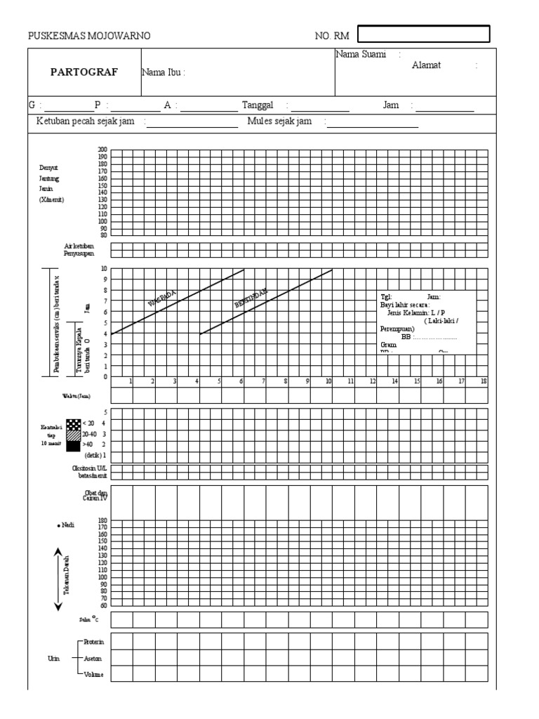 Download Partograf Kosong PDF | PDF