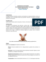 Practica 10. Identificacion de Biocompuestos II. Lipidos y Proteã - Nas