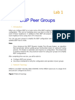 Lab 1 - BGP Peer Groups