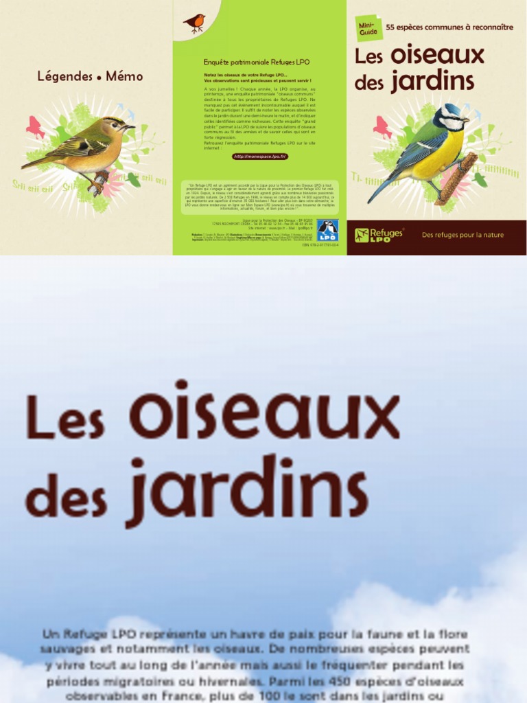 Identification des arbres et arbustes - LPO (Ligue pour la Protection des  Oiseaux) - Agir pour la biodiversité